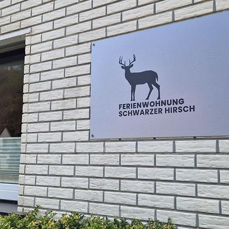 Wieda Ferienwohnung Schwarzer Hirsch מראה חיצוני תמונה